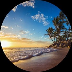 Meet your Posher, Bryan